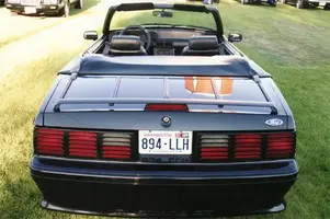Stang07-2.webp