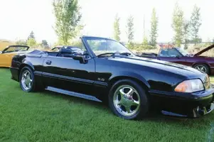 Stang07.webp