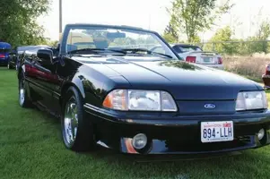 Stang07-4.webp