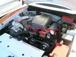 DSCN2573.webp