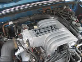 88mustang5.0010.webp