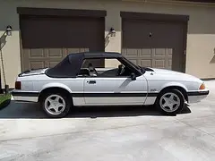 1063898989_004b1d4a5e_m.webp
