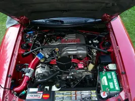 mustang8-9-07002.webp