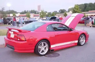 cruise008.webp