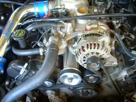 mustang2.webp
