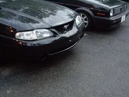 IMGP2911.webp