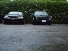 IMGP2908.webp