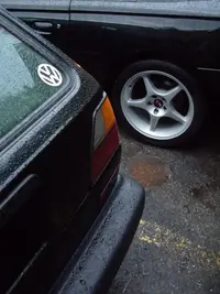 IMGP2906.webp