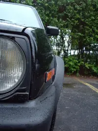 IMGP2904.webp