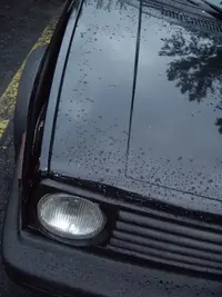 IMGP2903.webp