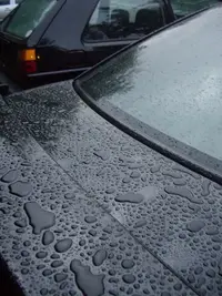 IMGP2902.webp