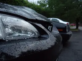 IMGP2900.webp