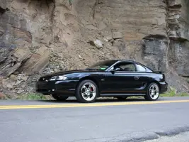 Picture007.webp