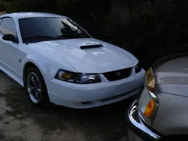 new100.webp