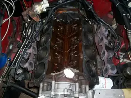 mustanglongblock001.webp