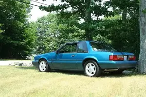 stang5.webp
