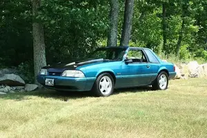 stang4.webp