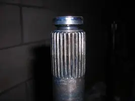 DSCN0529.webp