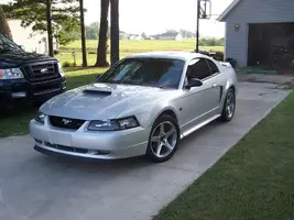 mustangpictures161.webp