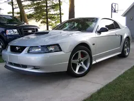 mustangpictures159.webp