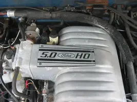 88mustang5.0009.webp
