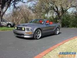 Mustangwith20sGrey.webp