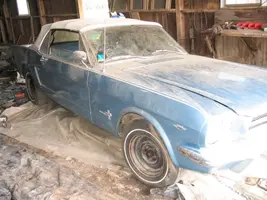 stang002.webp