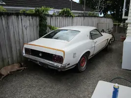 mustang 004.webp