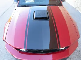 IMG_2829.webp