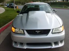 saleen10.webp