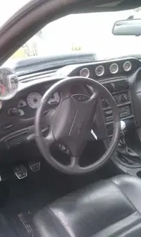 saleen1.webp