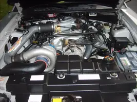 saleen16.webp