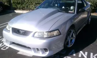 saleen4.webp