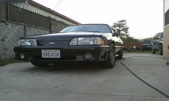 IMG_20130122_163437.webp