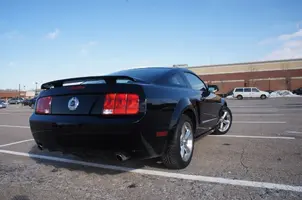 Mustang 04.webp