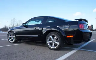 Mustang 06.webp