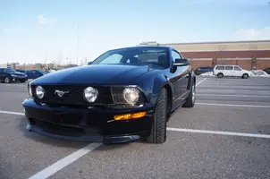 Mustang 08.webp