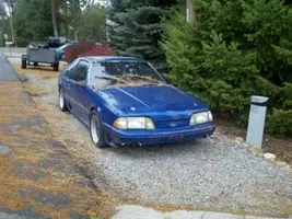 87 fox front.webp