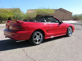 Mustangs 002 (Small).webp