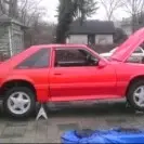 1-30-13 1078.webp 1-30-13 1078.webp