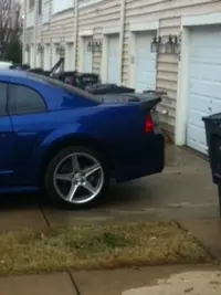 Mustang6.webp