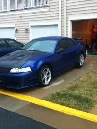 Mustang8.webp