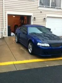 Mustang9.webp