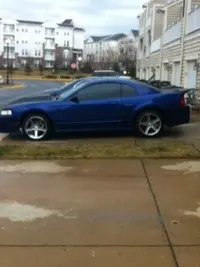 Mustang7.webp