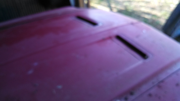 IMG_20130119_122404_531.webp