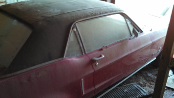 IMG_20130119_122251_005.webp