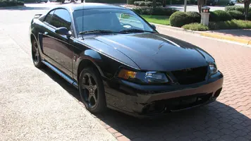 Cobra 01 -10.webp
