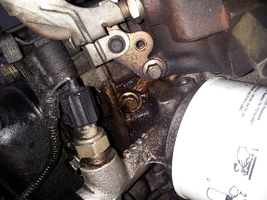 20130209_104044.webp