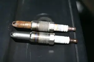 PLUGS001.webp
