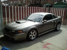 mustang.webp